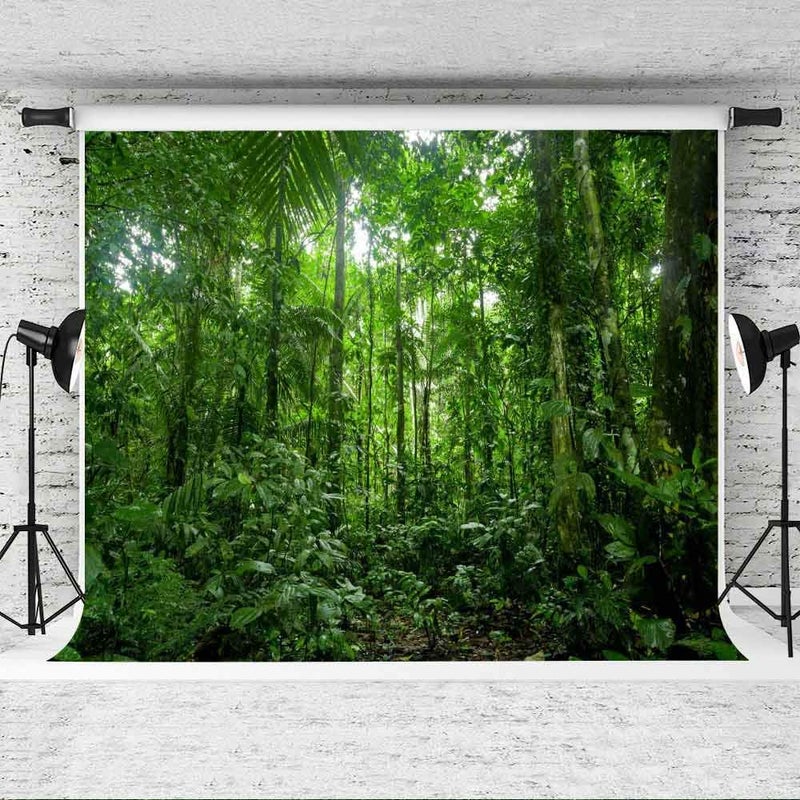 EOA 7(W) x5(H) قدم خلفية غابة استوائية خضراء بأوراق وأشجار دائمة الخضرة خلفية صيفية لعيد الميلاد أو الإجازة أو التنزه أو الزفاف أو حفلة استقبال المولود أو لافتة استوديو. - Image 3